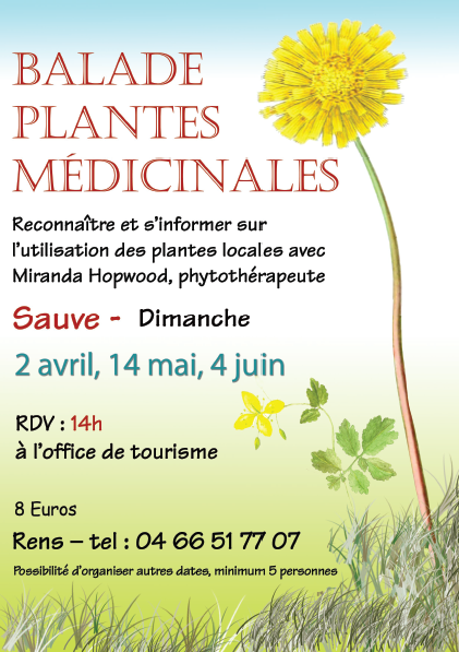 sortie plantes médicinales