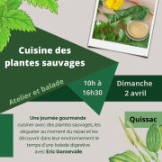 Affiche cuisine plantes sauvages ens 02042023 v2