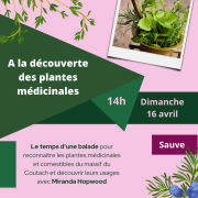 Affiche plantes medicinales ens 16042023 v2