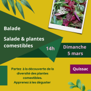 Affiche sortie salade plantes comestibles 5 mars 2023 vf 1
