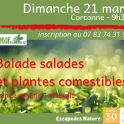 Balade plantes 3 