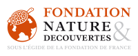 Logo fondation netd 2018 rvb 20web