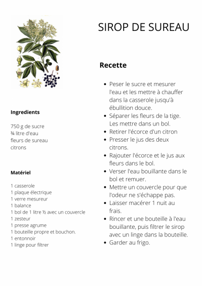 Sirop de sureau